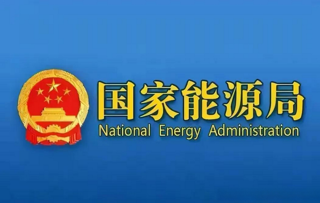 2025年可再生能源并網運行情況